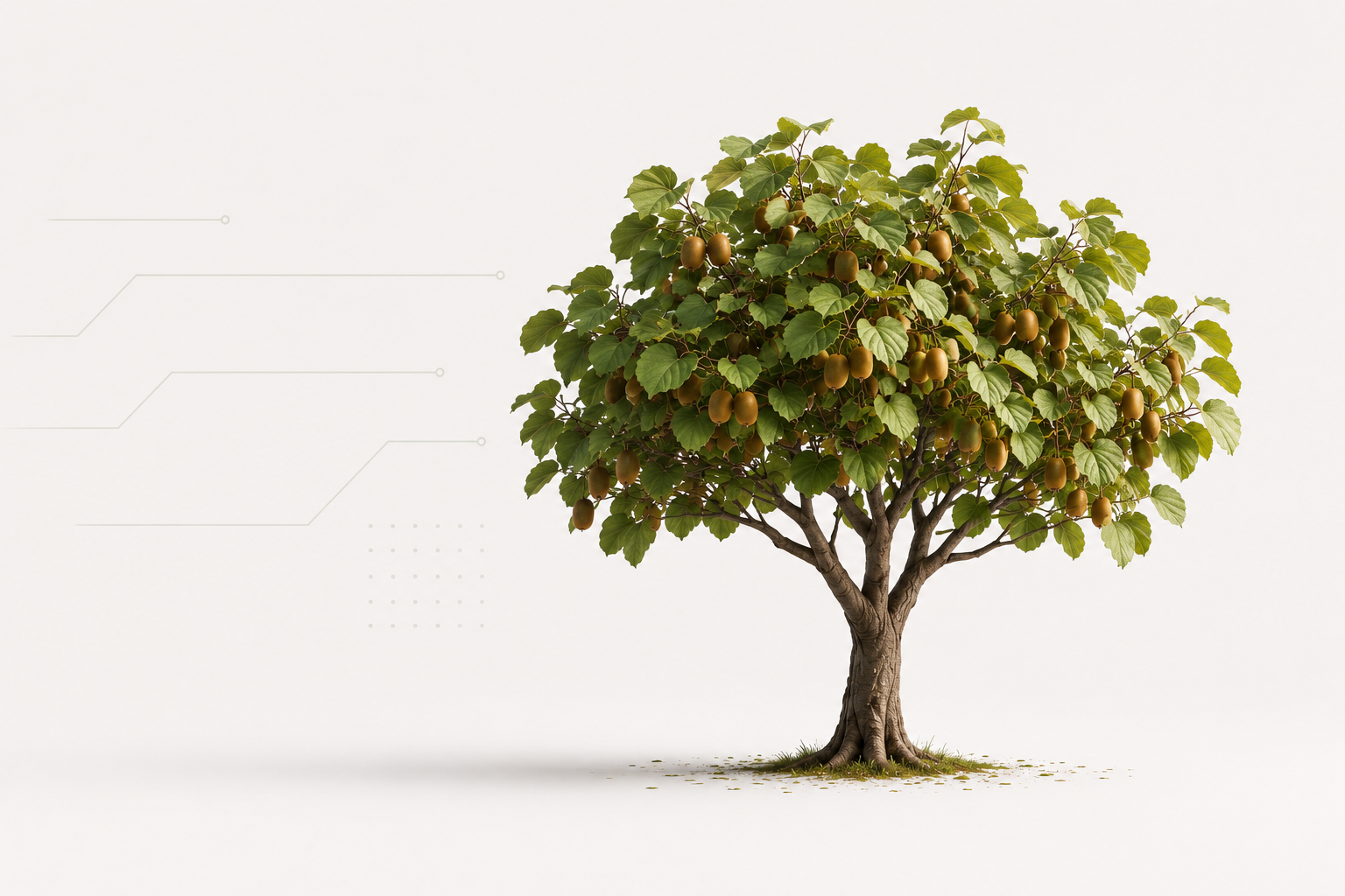 Kiwi tree representing dedicated email server
